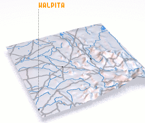 3d view of Walpita