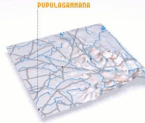 3d view of Pupulagammana