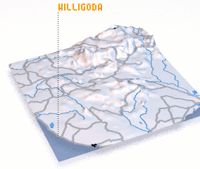 3d view of Willigoda