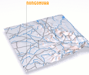 3d view of Nungomuwa