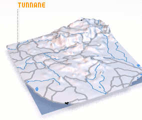 3d view of Tunnane