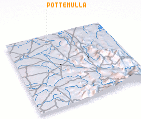 3d view of Pottemulla