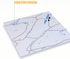 3d view of Krasnaya Niva