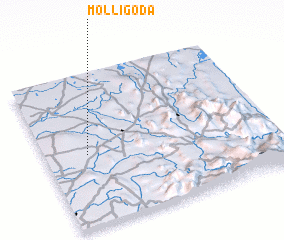 3d view of Molligoda