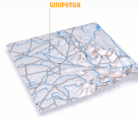 3d view of Ginipenda