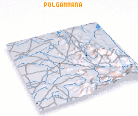 3d view of Polgammana