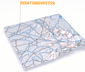 3d view of Nekatiwaduressa