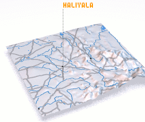 3d view of Haliyala