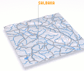 3d view of Salbāka