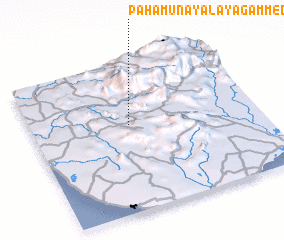 3d view of Pahamunayalayagammedda