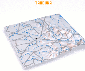 3d view of Tambuwa