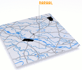 3d view of Narwal