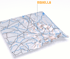 3d view of Ridiella