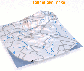 3d view of Tambalapelessa