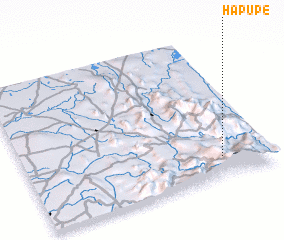 3d view of Hapupe