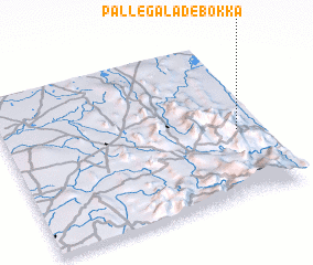 3d view of Palle Galadebokka