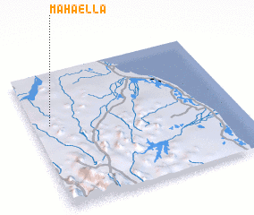 3d view of Mahaella