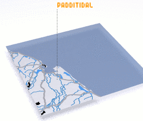 3d view of Padditidal