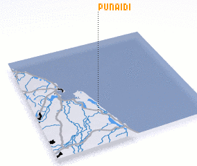 3d view of Punaidi