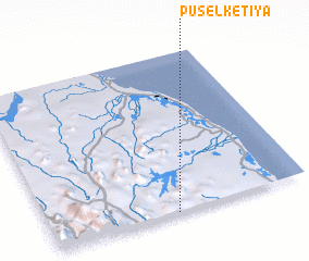 3d view of Puselketiya