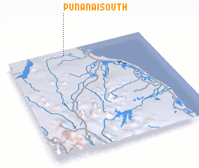 3d view of Punanai South