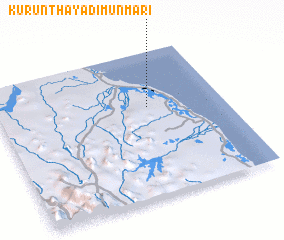 3d view of Kurunthayadimunmari