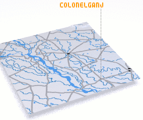 3d view of Colonelganj