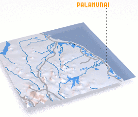 3d view of Palamunai