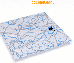 3d view of Colonelganj