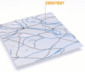 3d view of Shokybay