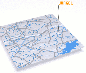 3d view of Jungel