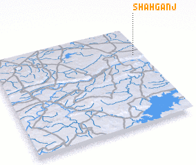 3d view of Shāhganj