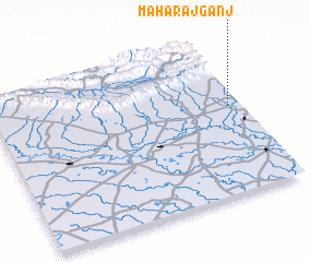 3d view of Mahārājganj