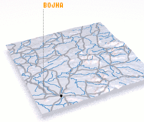 3d view of Bojha