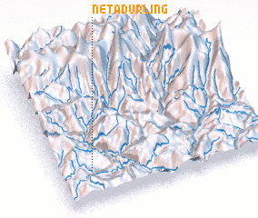 3d view of Netadurling