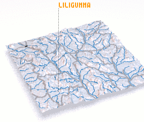 3d view of Liligumma