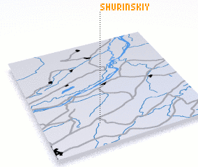 3d view of Shurinskiy