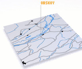 3d view of Obskoy