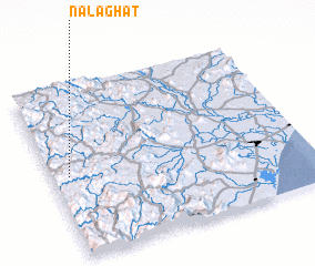 3d view of Nalāghāt