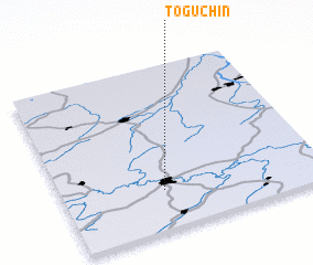 3d view of Toguchin