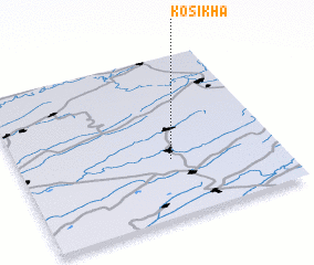 3d view of Kosikha