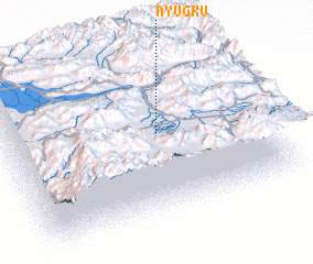 3d view of Nyugku