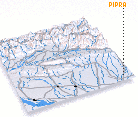 3d view of Pipra
