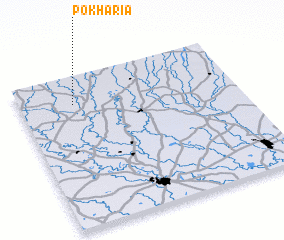 3d view of Pokharia
