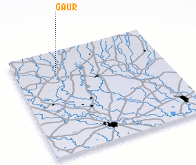 3d view of Gaur