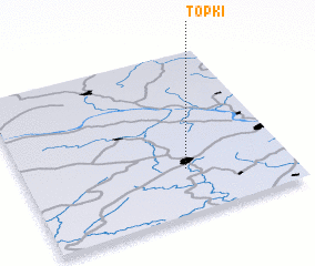 3d view of Topki