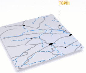 3d view of Topki