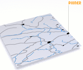 3d view of Pioner