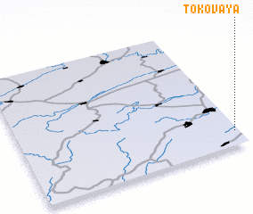 3d view of Tokovaya