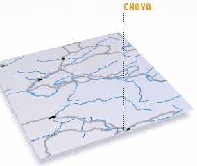 3d view of Choya